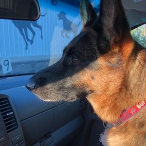 Meet your Posher, Robert